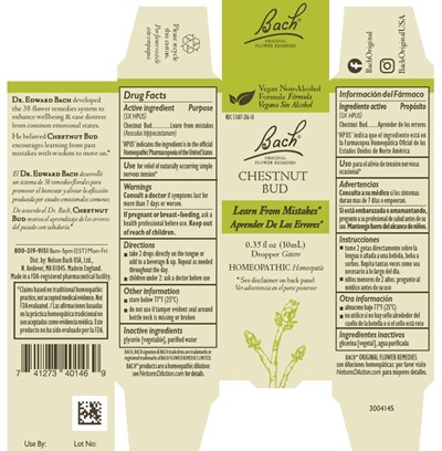 Bach Original Flower Remedies Chestnut Bud - Chestnut Bud